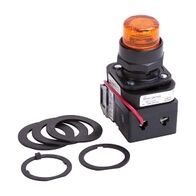 Allen-Bradley 800H Pilot Light 30.5mm Complete Plastic FS Push To Test INC TRANF 240V AC Amber