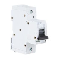 NHP DIN-T Miniature Circuit Breaker 10H 1Pole 125A B Curve