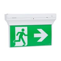 Stanilite Single Point Platinum Exit Lighting LED Edgelit Quickfit Dali Pictograph