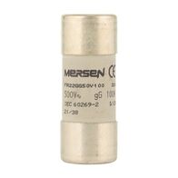 Mersen FR Cylindrical Fuse 22 x 58mm 500V AC 100A