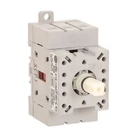 Allen-Bradley 194E Disconnect Switch Body, Front/Door mount 3 Pole 16A