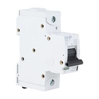 NHP DIN-T Miniature Circuit Breaker 10H 1Pole 100A C Curve