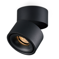 Round Surface Mount DL Black Tri Color 12w