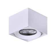 Surface Mount Square DL White Tri Color 10w