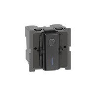 Double Pole 32AX Switch | 1 Way | 2 Modules | Black by Legrand