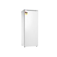 All Freezer Pigeon Pair 168L | Manual Defrost | Adjustable Thermostat | Reversible Door by GAF