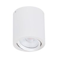 NEO-20 Round 20W Surface Mount Tiltable LED Dimmable IP20 Downlight - White
