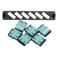 Flat Coupler Panel Kit 12F | Includes Thru Adaptor | OM3 Compatible by Unbranded