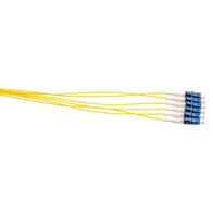 MSS Fibre SM 9um 6-Fibre LC 900um Pigtails - 6 Pack