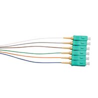 Fibre Pigtails OM3 50um 6-Fibre SC | 900um | High Performance & Reliable Connectivity by MSS