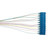 MSS Fibre SM 9um 12-Fibre SC 900um Pigtails - 12 Pack