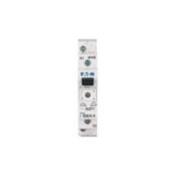 Installation Relay 230V 16A | 1 Normally Open Contact | DIN Rail Mount | Low Heat Dissipation by Eaton
