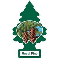 Car Air Freshener Royal Pine | Lasts for Weeks | Hanging Design by CW Brands