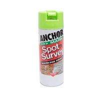 Survey Marking Spray | Green Fluorescent Color | High Visibility & Easy Application | 350g by CW Brands