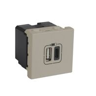 Arteor™ - 1 USB Type-A + 1 USB Type-C charging socket 3 A / 15 W 230 V - 5 V= - 2 modules - Champagne