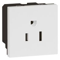 Arteor™ - Socket - US - 15 A / 127 V - 2P+E - 2 modules - White