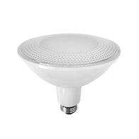 LED PAR38 Globes IP65 (15W)