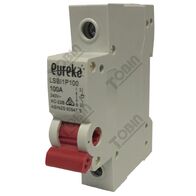 Isolator EUREKA Din Mount 1 Pole 100A | Single Pole Switch | DIN Rail Mountable | by Tobin