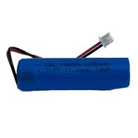 Replacement Battery for Emergency Exit Light | Lithium Power | Long-Lasting Backup | Safety Compliant | by Fire Factory Australia