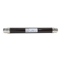 24KV 20Amp 2" DIN Resin Seal Fuse (24KV 20Amp 2" DIN Resin Seal Fuse (24TDMEJ20))