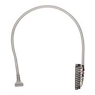 Allen-Bradley 1492CAB100K69 Prewired Cable for 1769-OB32 Module