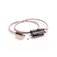Allen-Bradley 1492ACAB010E69 Analog Cable for I/O Modules