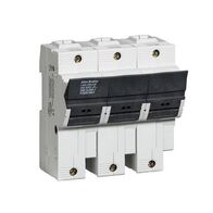 Allen-Bradley 1492FB3J60L 3 Pole Fuse Holder with LED Indicator
