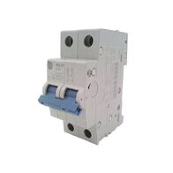 Allen-Bradley 1492SPM2C050 Supplementary Protector 2 Pole 5 Amp