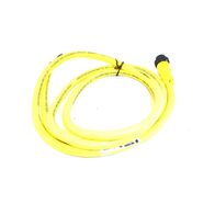 Allen-Bradley 889NU4AFC6F Mini Cable Male Straight 4 Pins