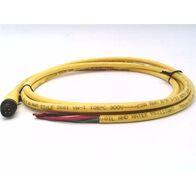 Allen-Bradley 889RM4AEA2 4 Pin Straight Male Cord Set 2M