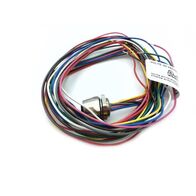Allen-Bradley DC Micro M12 Female 8-Pin Straight Receptacle