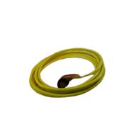 Allen-Bradley 889NL3AFA12F Mini Cable Female Right Angle Neon 3 Pin
