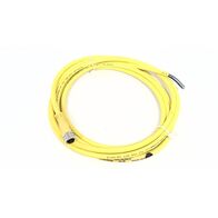 Allen-Bradley 889PF4UB2 PICO Cable Female Straight 4 Pins
