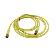 Allen-Bradley 889PF4ABPM2 PICO Cable 4 Pin Straight Male to Female