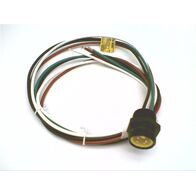 Allen-Bradley 888NM4AF13F Mini/Mini Plus 4-Pin Male Straight Receptacle