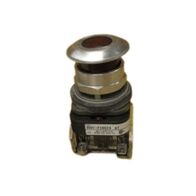 Allen-Bradley 800TFXNQ24RA7 Illuminated Push Button