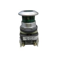Allen-Bradley 800TFXNQ24GA7 Illuminated Push Button