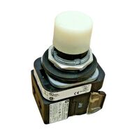 Allen-Bradley 800TCQBH2W 30mm Momentary Pushbutton with LED