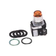 Allen-Bradley 800TCQB24R Illuminated Momentary Push Button