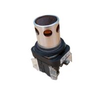 Allen-Bradley 800TCQA10A Illuminated Momentary Push Button