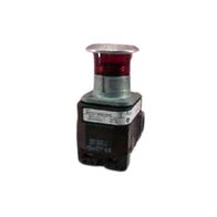 Allen-Bradley 800TCFXMPH16RA7 Illuminated Push Button