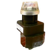 Allen-Bradley 800TQ20C Pilot Light 30.5mm Metal Type 4/13