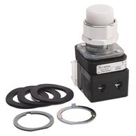 Allen-Bradley 800TQBH2W Illuminated Pushbutton