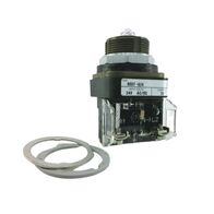 Allen-Bradley 800TQ24 Pilot Light 30.5mm Metal Type 4/13