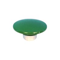 Allen-Bradley 800TN248G Replacement Jumbo Mushroom Cap Green