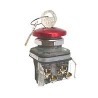 Allen-Bradley 800TE12M6A Mushroom Pushbutton with Cylinder Lock