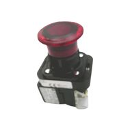 Allen-Bradley 800HFRXTQH2RA4 Pushbutton Switch