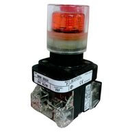 Allen-Bradley 800HCQRA24A Illuminated Momentary Push Button