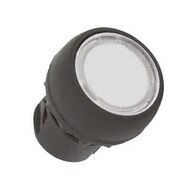 Allen-Bradley 800FPLG9 Illuminated Momentary Push Button