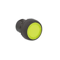 Allen-Bradley 800FPLF5PN3WX10 Illuminated Round Plastic Momentary Push Button